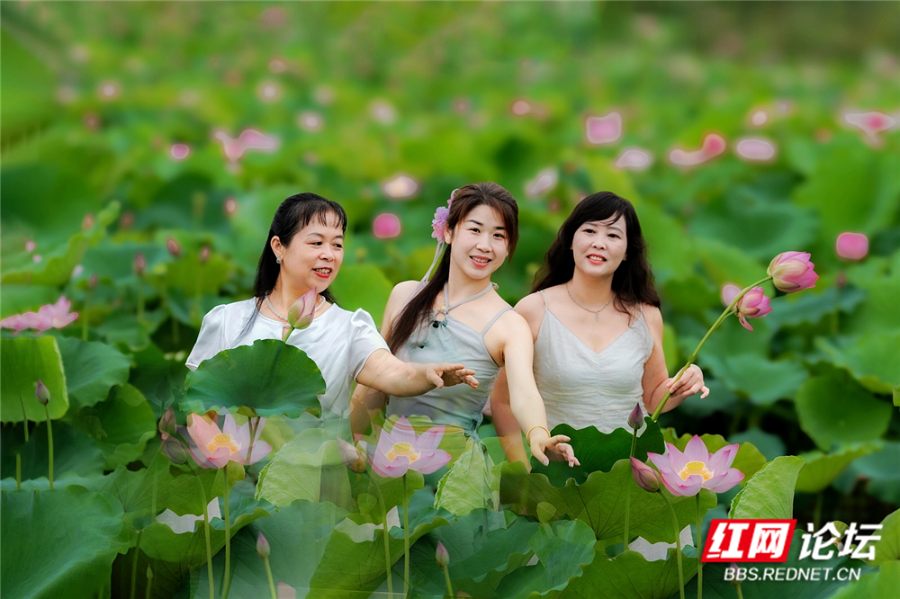 nEO_IMG_微信图片_20260629142623_1094_856.jpg nEO_IMG_微信图片_20260629142623_1094_856.jpg