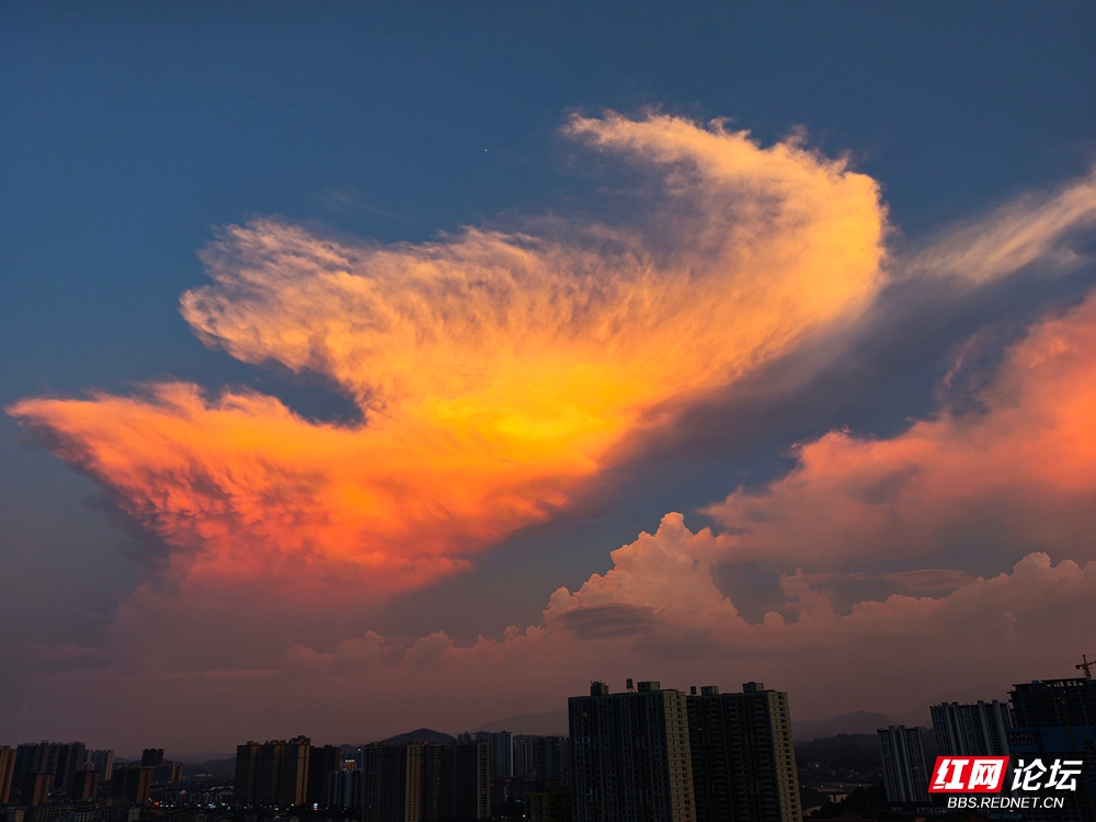 微信图片_20260714211140_284_84a.jpg
