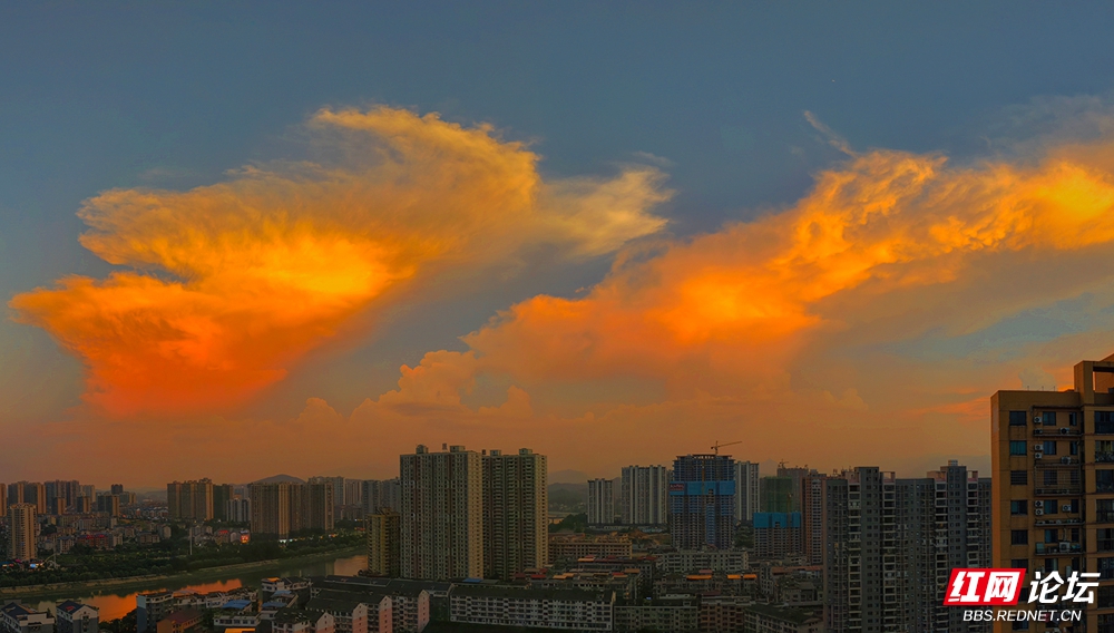 微信图片_20260714211144_287_84a.jpg