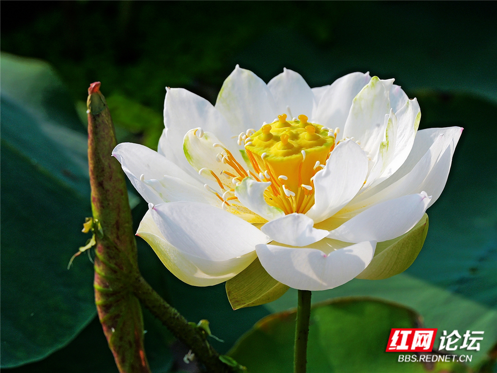 nEO_IMG_PANA6020 拷贝_副本.jpg nEO_IMG_PANA6020 拷贝_副本.jpg