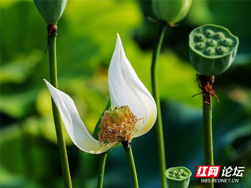 nEO_IMG_PANA6066 拷贝_副本.jpg nEO_IMG_PANA6066 拷贝_副本.jpg