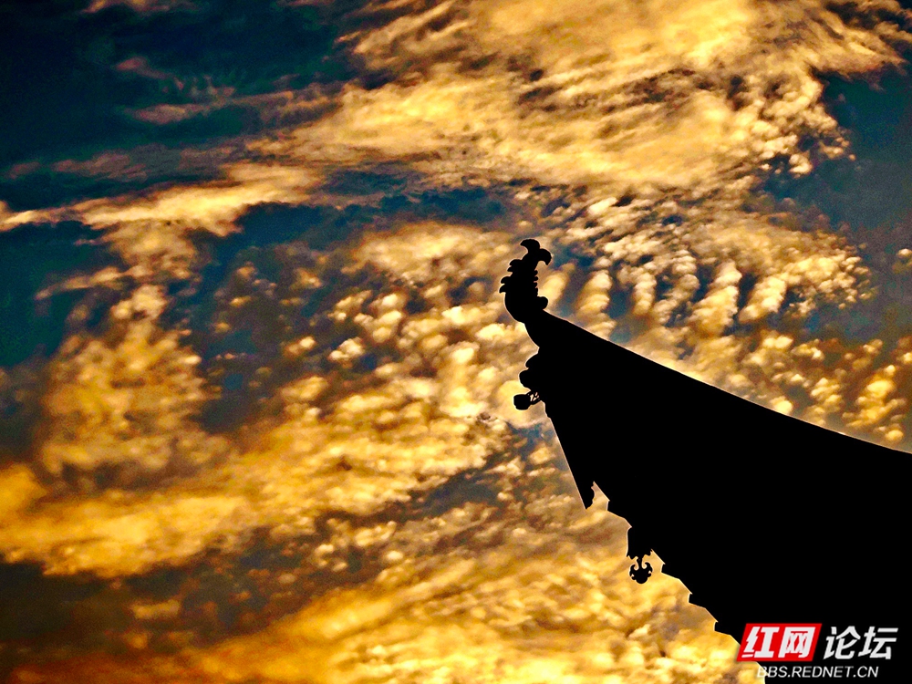 008.jpg