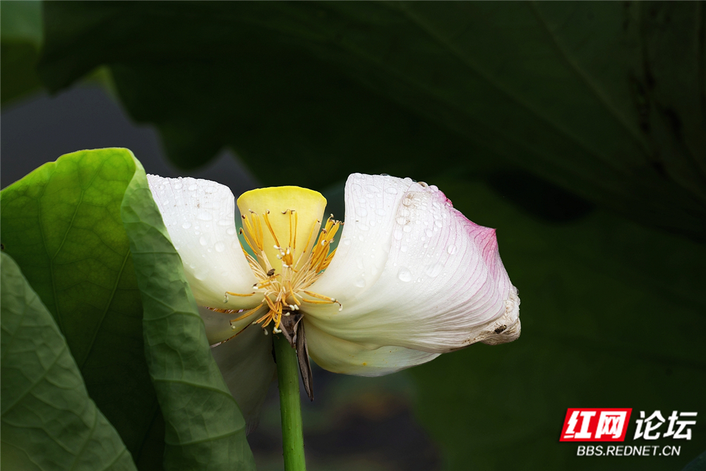 nEO_IMG_DSC06718 拷贝.jpg