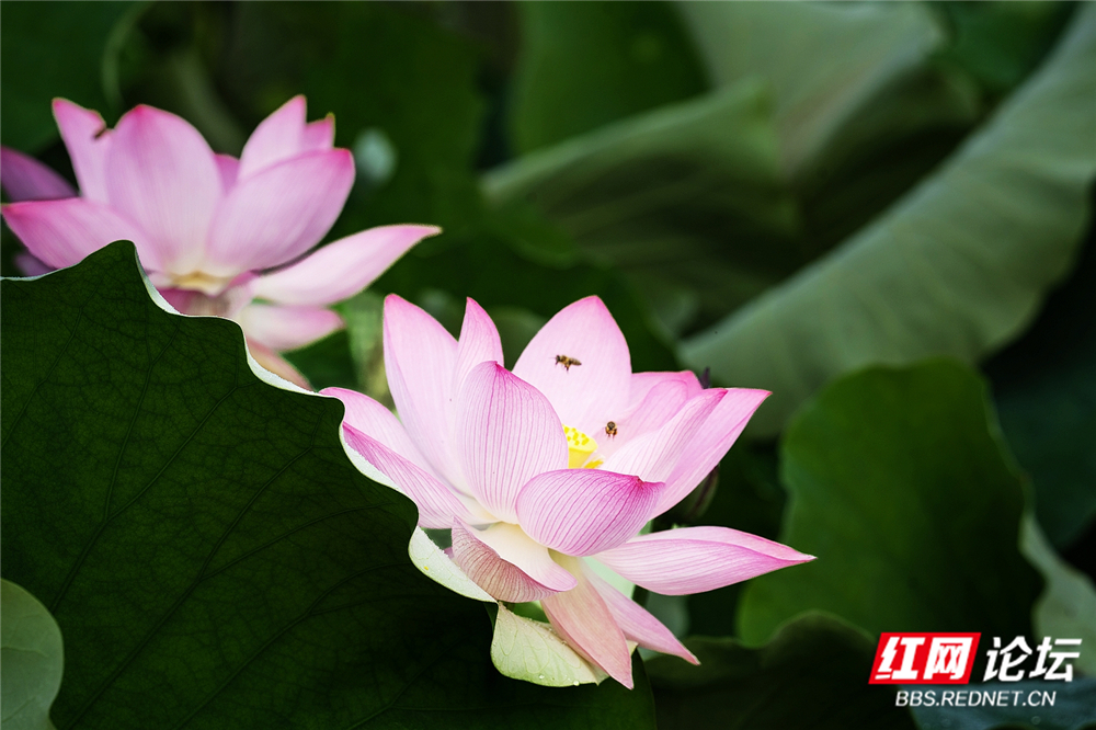 nEO_IMG_DSC06535 拷贝.jpg