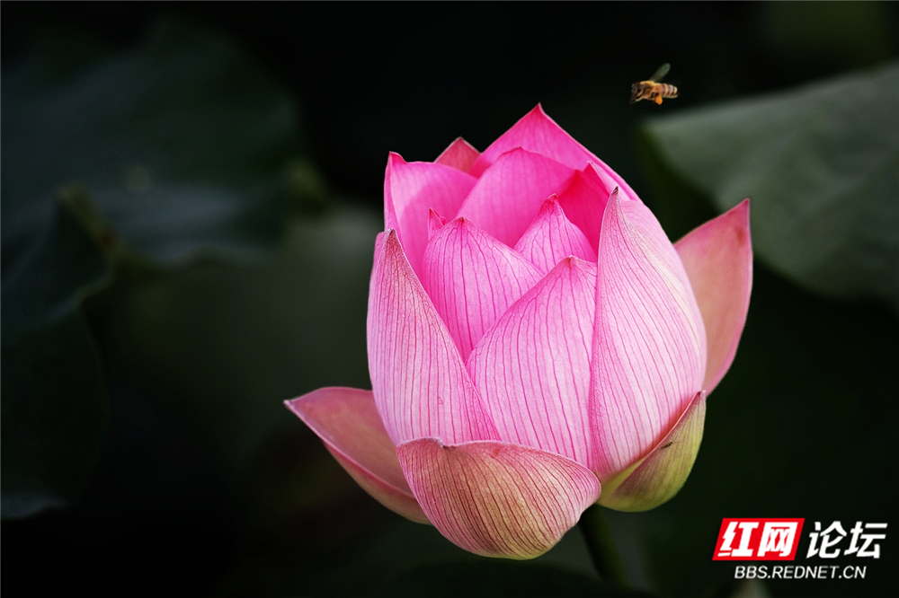 nEO_IMG_DSC06482 拷贝.jpg