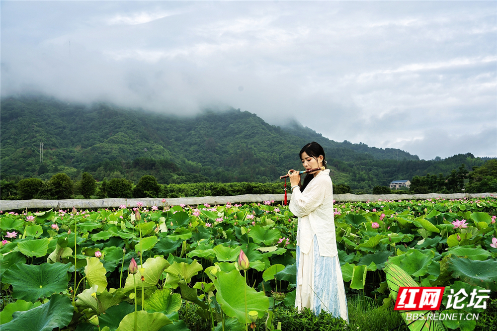 nEO_IMG_DSC06735 拷贝.jpg
