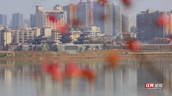 003020u385qsyzqsp38zmp (1)_副本.jpg