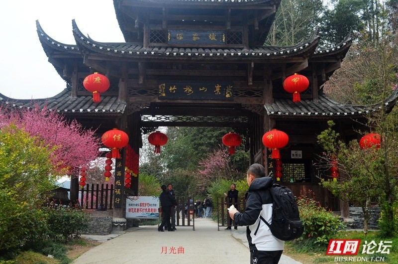 wm - 2025-03-12T111115.705.jpg