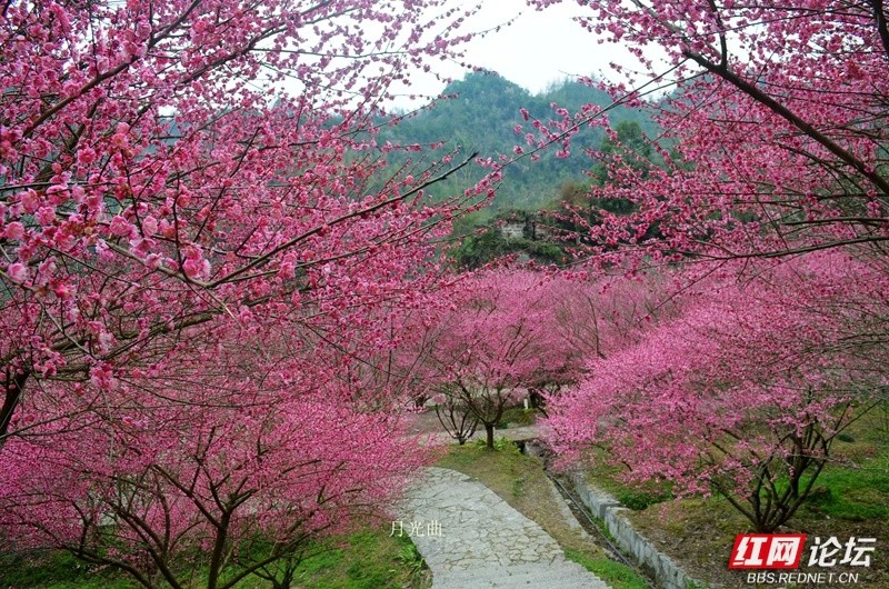 wm - 2025-03-12T111045.016.jpg