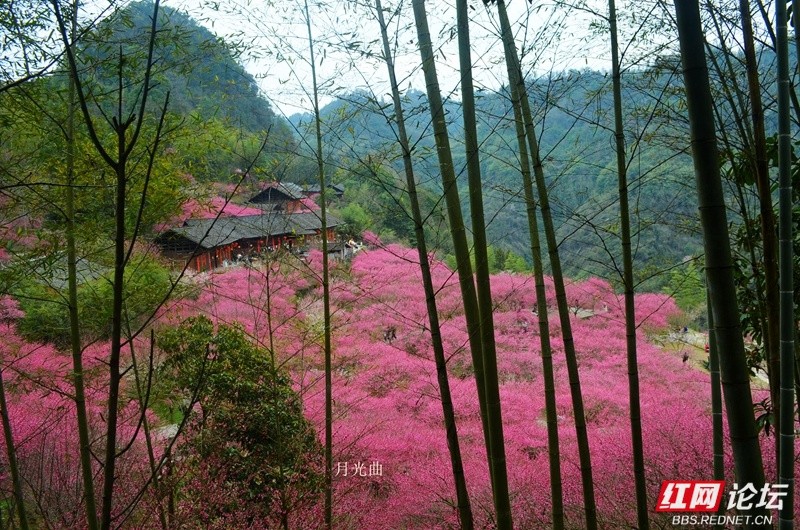 wm - 2025-03-12T111047.696.jpg