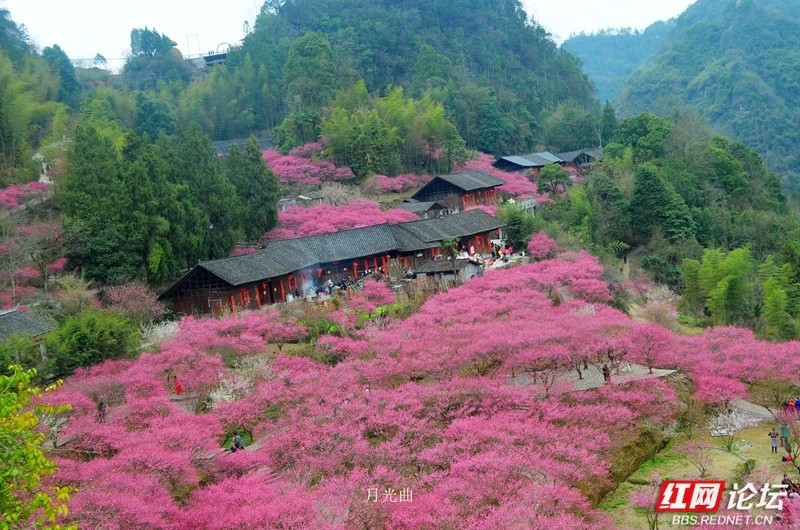 wm - 2025-03-12T111141.255.jpg