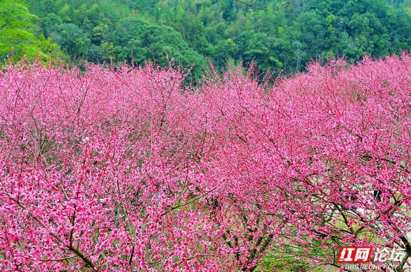 wm - 2025-03-12T111131.432.jpg