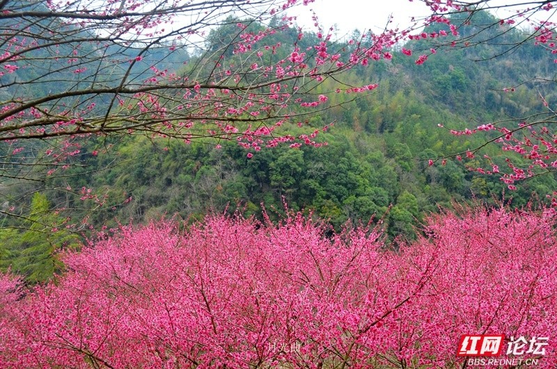 wm - 2025-03-12T111127.289.jpg