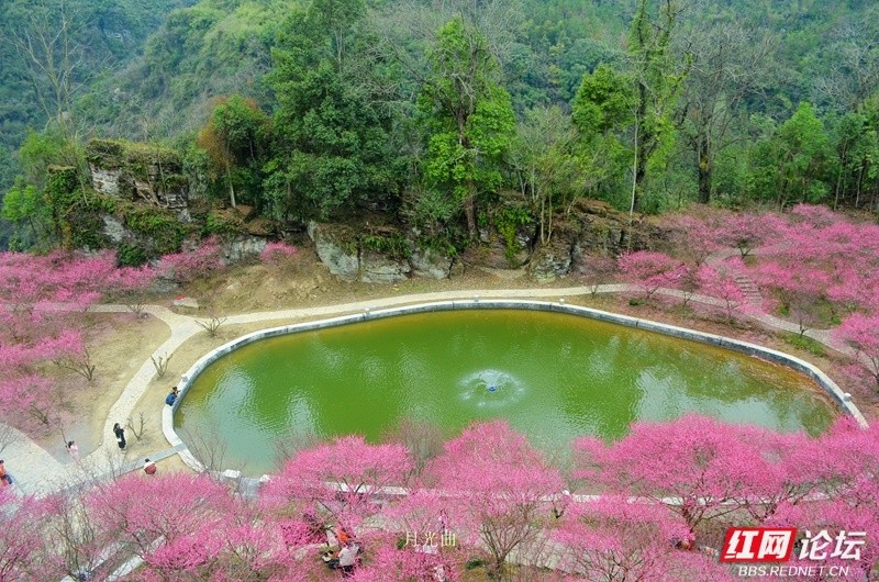 wm - 2025-03-12T111055.320.jpg