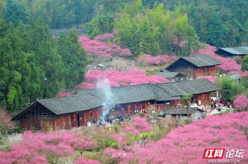 wm - 2025-03-12T111145.048.jpg