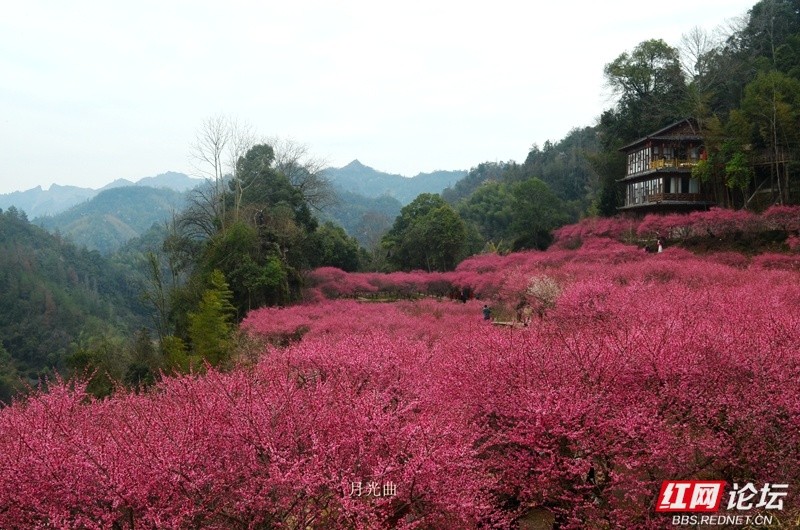 wm - 2025-03-12T111124.393.jpg