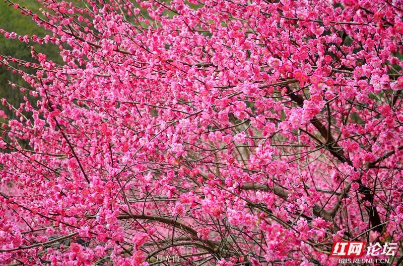 wm - 2025-03-12T111038.828.jpg