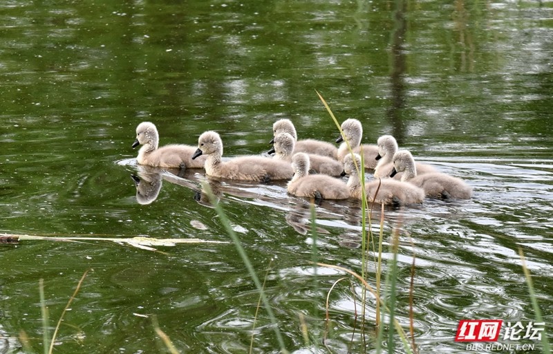 wm - 2025-04-17T210038.391.jpg