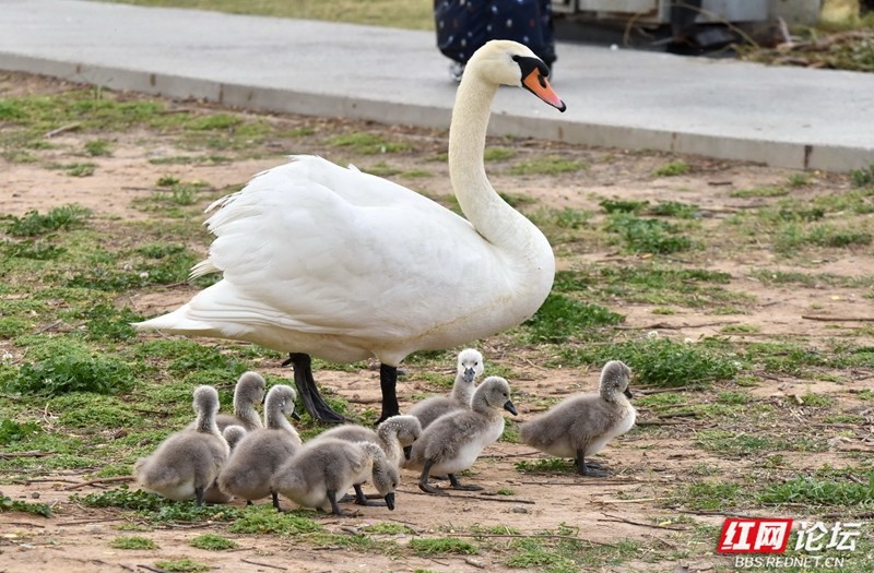 wm - 2025-04-17T210030.825.jpg