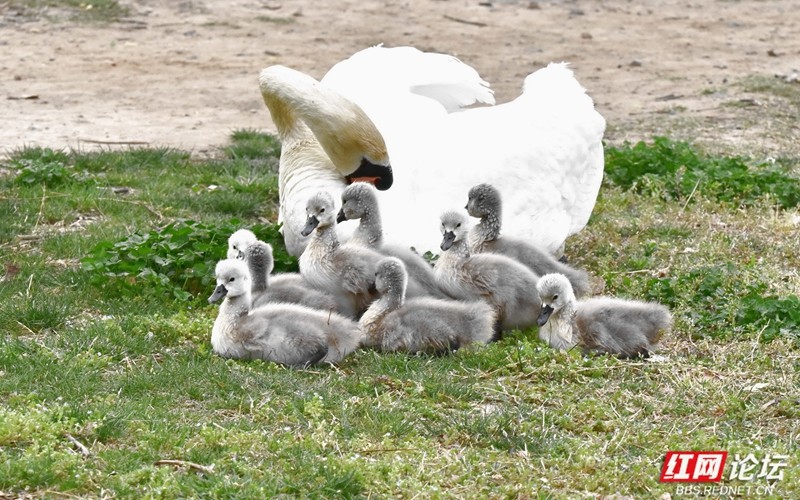 wm - 2025-04-17T210025.438.jpg