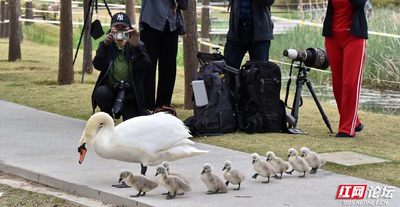 wm - 2025-04-17T210021.714.jpg