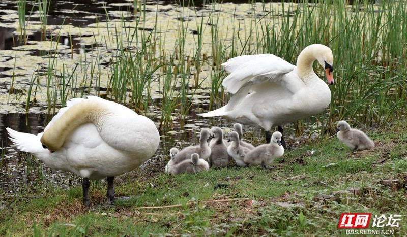 wm - 2025-04-17T210034.561.jpg