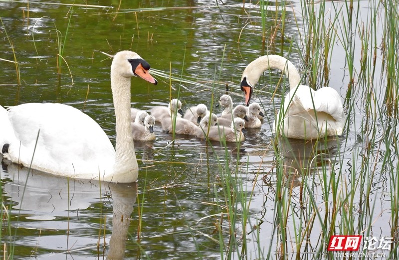 wm - 2025-04-17T210045.927.jpg