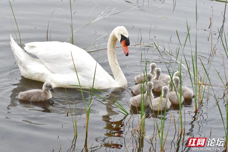 wm - 2025-04-17T210042.236.jpg