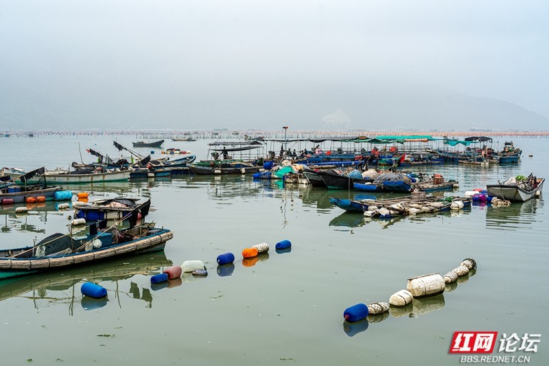 wm - 2025-04-22T084815.845.jpg