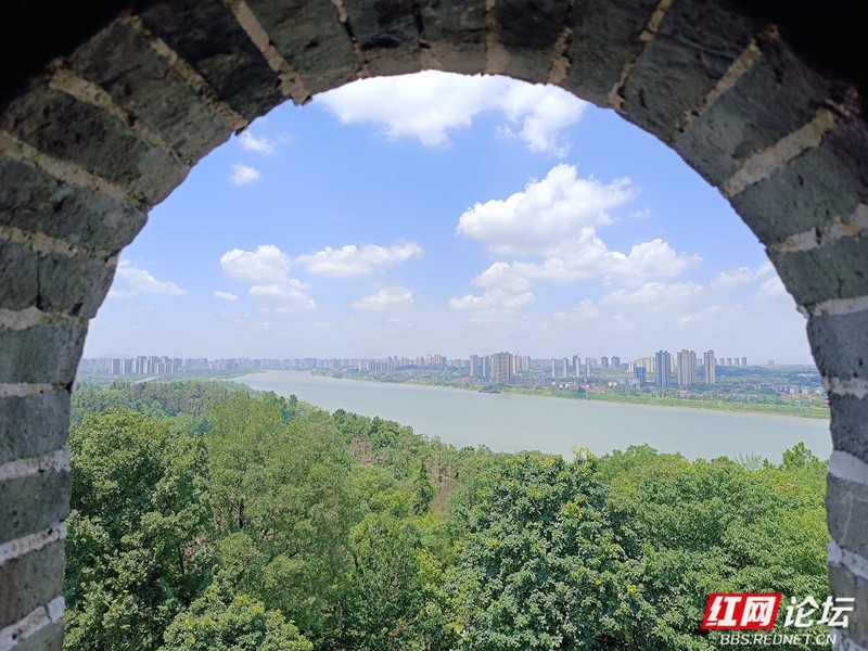 wm - 2025-05-06T152544.591.jpg