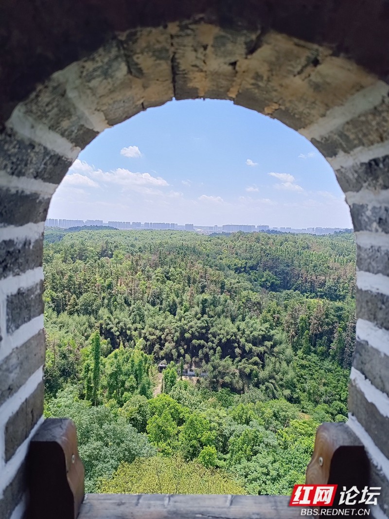 wm - 2025-05-06T152547.611.jpg