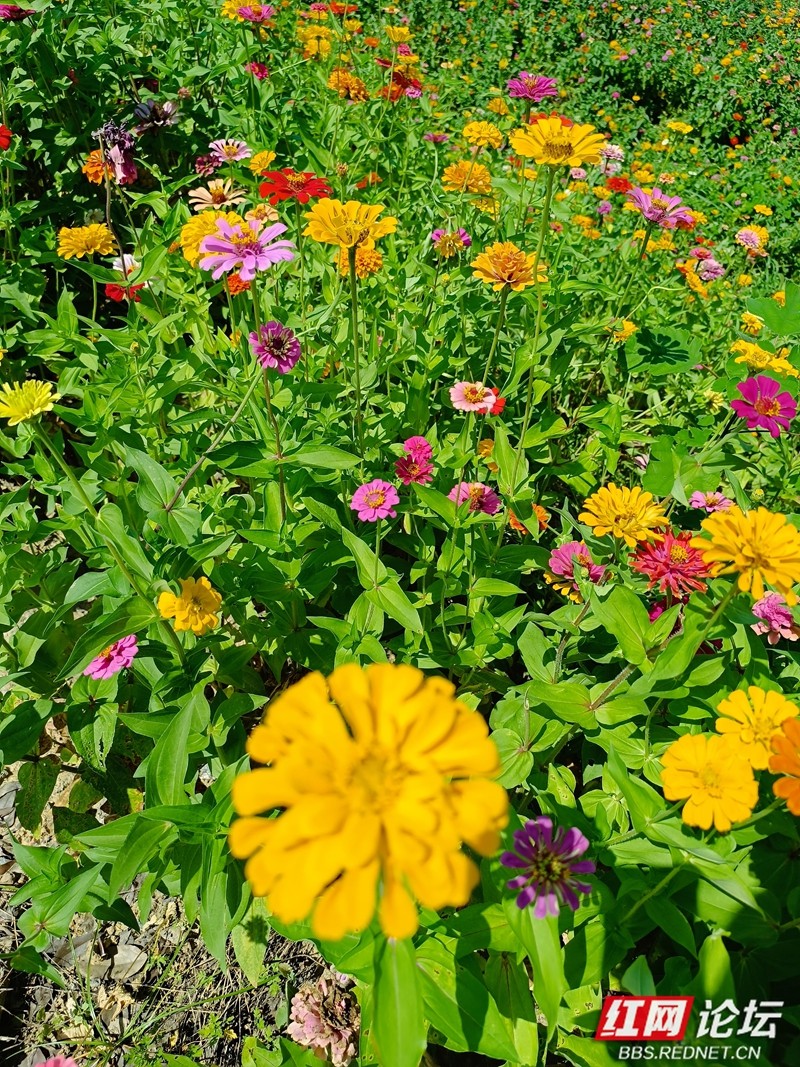 wm - 2025-05-06T152510.759.jpg