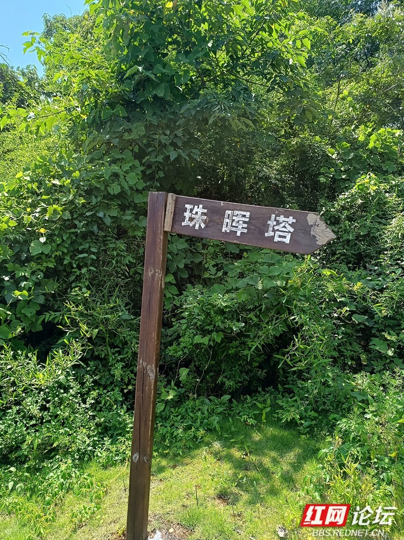 wm - 2025-05-06T152514.248.jpg