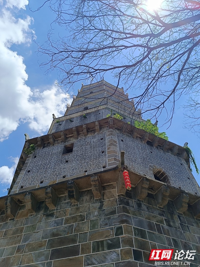 wm - 2025-05-06T152536.699.jpg