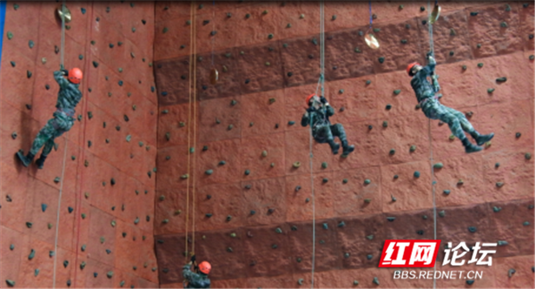 极限杯651.png 极限杯651.png