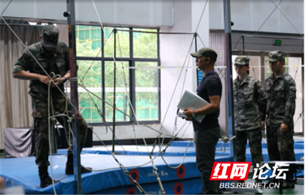 极限杯694.png 极限杯694.png