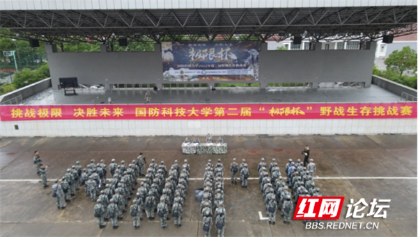 极限杯139.png 极限杯139.png