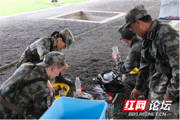 极限杯295.png 极限杯295.png