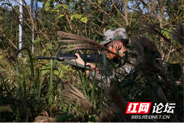 极限杯802.png 极限杯802.png