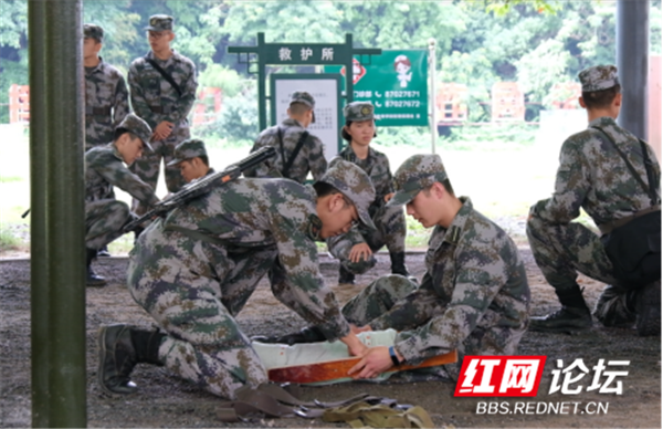 极限杯874.png 极限杯874.png