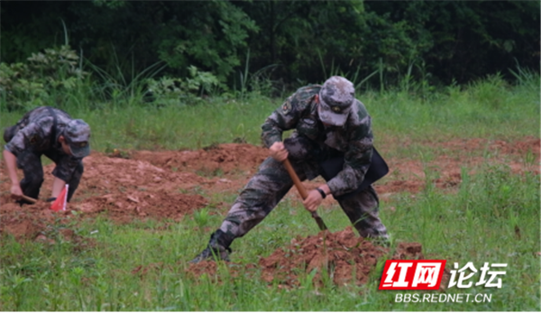 极限杯722.png 极限杯722.png