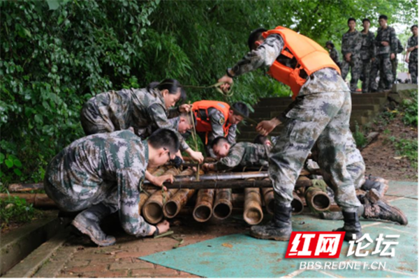 极限杯563.png 极限杯563.png