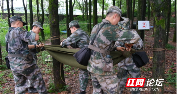 极限杯367.png 极限杯367.png