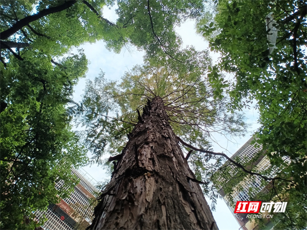 微信图片_20241113161501.jpg 微信图片_20241113161501.jpg