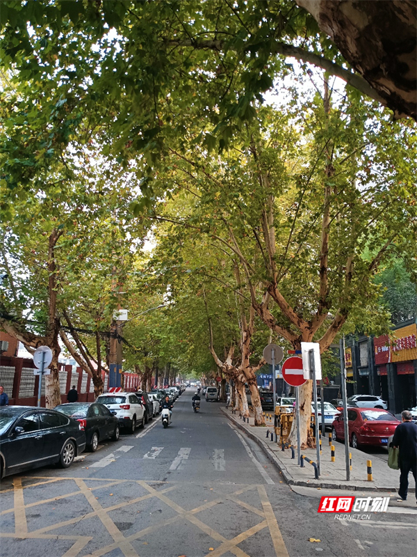 微信图片_20241113161434.jpg 微信图片_20241113161434.jpg