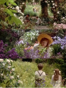 《秘密花园》读书心得58.png 《秘密花园》读书心得58.png