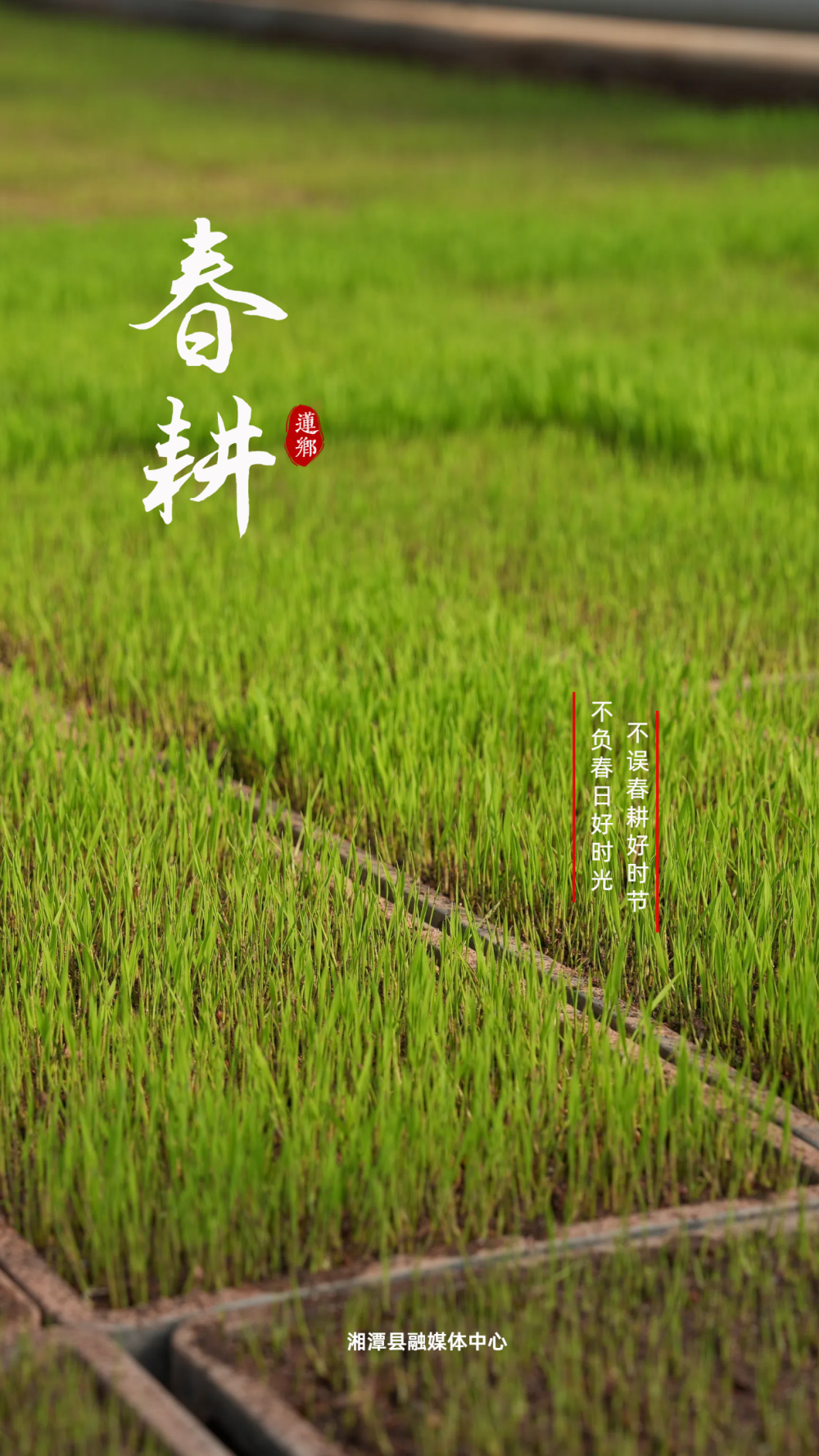 5718452b79d74c638050d5a45320a527.png