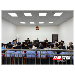 11人受审！湘潭县法院公开审理跨省组织驾考作弊案