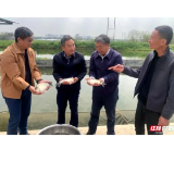 湘潭市“莲+合方鲫”参评国优模式