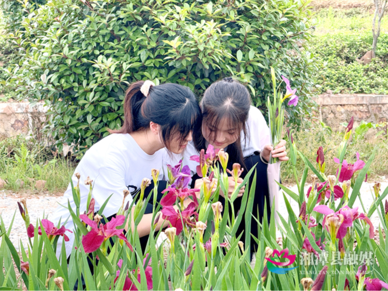 WX20250501-072316@2x.png